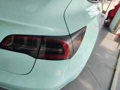 Tesla Model 3 Standard Range RWD Upgrade - ფოტო 8