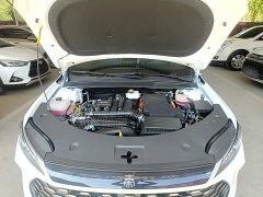 BYD Qin PLUS DM-i Smart Drive Edition 55KM Leading - ფოტო 20