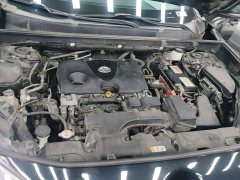 Toyota Wildland 2.0L CVT FWD Luxury Plus - ფოტო 20