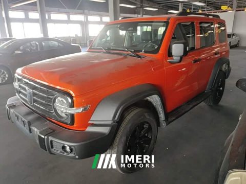 2022 Tank 300 2023 Off-Road Edition 2.0T Conqueror - ავტომობილი ჩინეთიდან