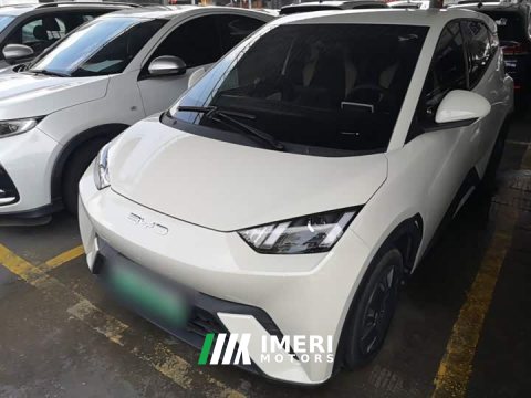 2024 BYD Seagull 2023 Vitality Edition - ავტომობილი ჩინეთიდან