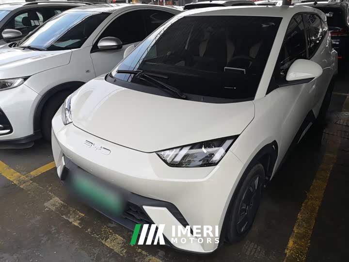 BYD Seagull Vitality Edition