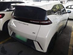 BYD Seagull 2023 Vitality Edition - ფოტო 7