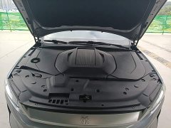 BYD Qin Plus EV 500KM Luxury - ფოტო 20