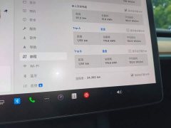 Tesla Model Y 2021 Standard Range RWD - ფოტო 12