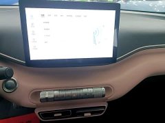 BYD Seagull Flying Edition - ფოტო 13