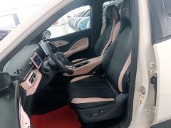 BYD Seagull Flying Edition - ფოტო 15
