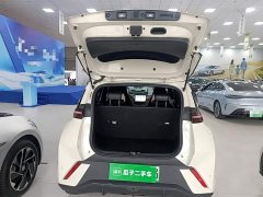 BYD Seagull Flying Edition - ფოტო 19