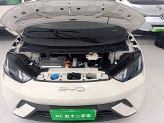 BYD Seagull Flying Edition - ფოტო 20