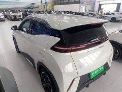 BYD Seagull Flying Edition - ფოტო 5