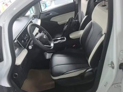 Geely Geometry E Firefly 401km Starlight - ფოტო 15