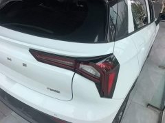 Geely Geometry E Firefly 401km Starlight - ფოტო 7