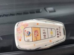 Geely Geometry E Firefly 401km Starlight - ფოტო 9
