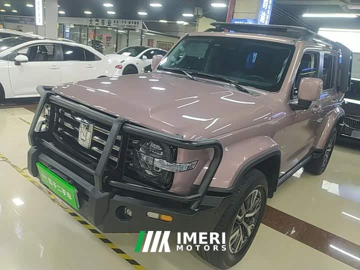 Tank 300 2023 City Edition 2.0T Stylish - ავტომობილი ჩინეთიდან