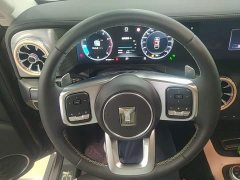 Tank 300 2023 City Edition 2.0T Stylish - ფოტო 11
