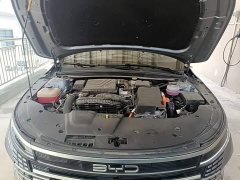 BYD Destroyer 05 2024 Glory Edition DM-i 55KM Luxury - ფოტო 20