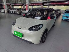 Wuling Binguo 2023 333km Joy Edition - ფოტო 2