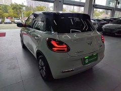 Wuling Binguo 2023 333km Joy Edition - ფოტო 5