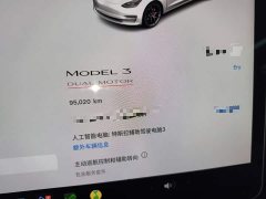 Tesla Model 3 Performance All-Wheel Drive - ფოტო 12