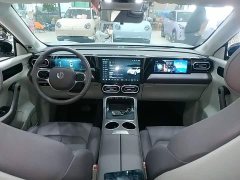 Leapmotor Leapo C11 Pure Electric 500 Comfort Edition - ფოტო 10