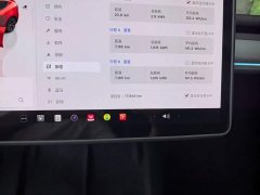 Tesla Model Y 2024 Rear-Wheel Drive - ფოტო 12