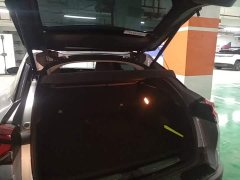 Dongfeng Versailles C5 X 1.6T Overseas Version - ფოტო 19