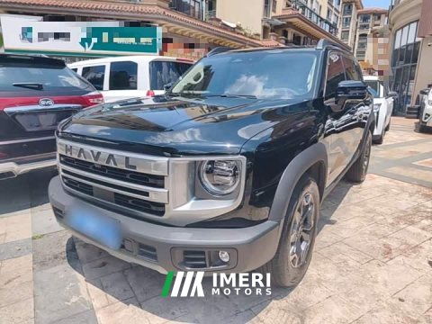2024 Great Wall Dachshund 2.0T DCT Chinese Rural Dog Edition - ავტომობილი ჩინეთიდან
