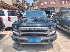 Great Wall Dachshund 2.0T DCT Chinese Rural Dog Edition - ფოტო 3