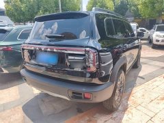 Great Wall Dachshund 2.0T DCT Chinese Rural Dog Edition - ფოტო 5