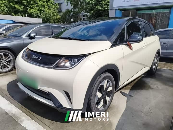 BYD Dolphin Glory Edition 420km Fashion Version
