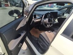 BYD Dolphin Glory Edition 420km Fashion Version - ფოტო 16