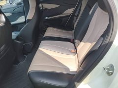 BYD Dolphin Glory Edition 420km Fashion Version - ფოტო 17