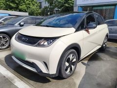 BYD Dolphin Glory Edition 420km Fashion Version - ფოტო 2