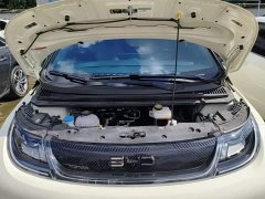 BYD Dolphin Glory Edition 420km Fashion Version - ფოტო 20