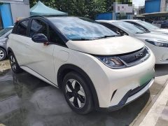 BYD Dolphin Glory Edition 420km Fashion Version - ფოტო 4