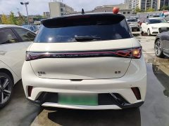 BYD Dolphin Glory Edition 420km Fashion Version - ფოტო 6