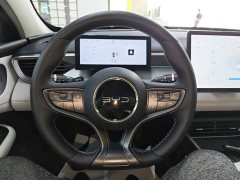 BYD Dolphin 05 DM-i Smart Drive Edition 120KM Flagship - ფოტო 11