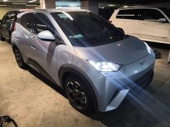 BYD Seagull 2025 305km Freedom Edition - ფოტო 4