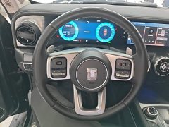 Tank 300 2021 Off-Road Edition 2.0T Conqueror - ფოტო 11