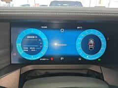 Tank 300 2021 Off-Road Edition 2.0T Conqueror - ფოტო 12