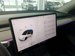 Tesla Model Y Rear-Wheel Drive - ფოტო 13