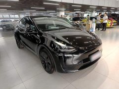 Tesla Model Y Rear-Wheel Drive - ფოტო 4