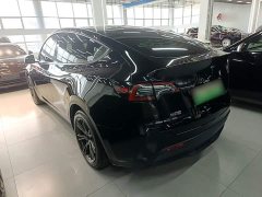 Tesla Model Y Rear-Wheel Drive - ფოტო 5