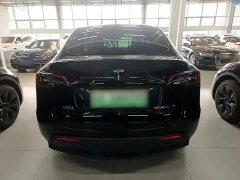 Tesla Model Y Rear-Wheel Drive - ფოტო 6