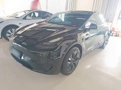 Tesla Model Y 2023 Rear-Wheel Drive - ფოტო 1