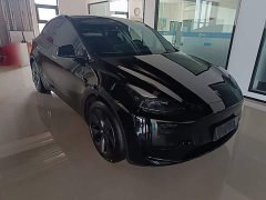 Tesla Model Y 2023 Rear-Wheel Drive - ფოტო 4