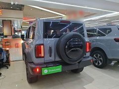 Tank 300 Off-Road Edition 2.0T Conqueror - ფოტო 5