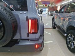 Tank 300 Off-Road Edition 2.0T Conqueror - ფოტო 8