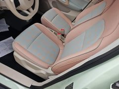 Leapmotor Leapo T03 310 Comfort Edition - ფოტო 15
