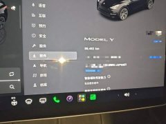 Tesla Model Y 2023 Rear-Wheel Drive - ფოტო 12